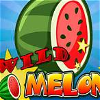 melon slot